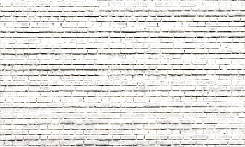White brick background, Flower city work camp, Serene atmosphere, Neutral tones HD wallpaper