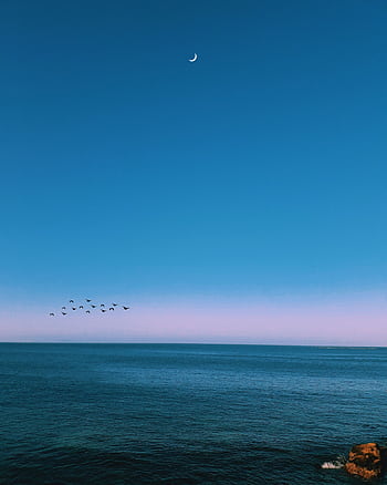 Serene ocean view at dusk with a crescent moon and birds flying across a calm sky. HD phone wallpaper