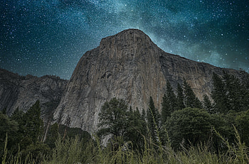 Nature, Trees, Night, Rocks, Cliff, Ears, Spikes HD wallpaper