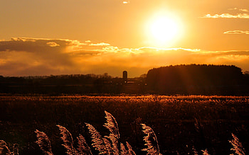 Landscape, Sunset, Fields HD wallpaper