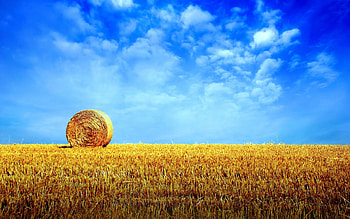 Nature, Horizon, Field, Hay, Stack, Bale, Skirda HD wallpaper