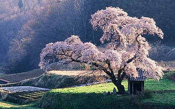 Asia, Captivating , Natural wonders, Iconic landmarks HD wallpaper