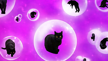 Floating Felines, cats, bubbles, animals, felines HD wallpaper