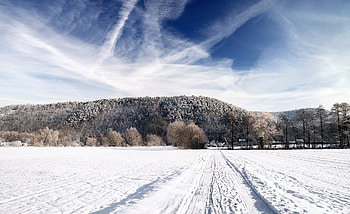 Nature, Trees, Sky, Road, Frost, Traces, Country, Ease, Countryside HD wallpaper