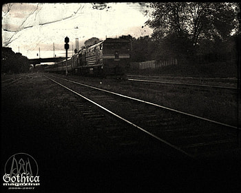 Gothica The Dark Day, signal, tracks, dark, tree HD wallpaper