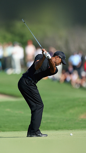 Tiger Woods, Golf HD phone wallpaper