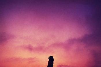 Nature, Sunset, Sky, Silhouette HD wallpaper