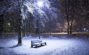 Snowing, Winter, Cold, Snow HD wallpaper
