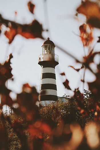 Leaves, Architecture, Bush, Building, Miscellanea, Miscellaneous, Lighthouse HD phone wallpaper