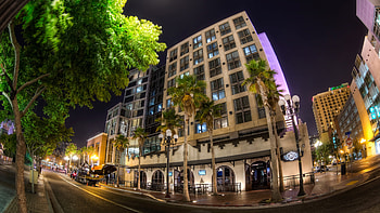 Cities, Trees, Night, Palms, Usa, Road, United States, San Diego HD wallpaper