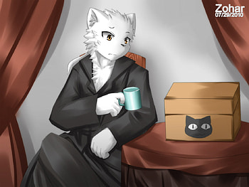 Furry cat, white, black, zohar, zoharwolf, furry, cat, chest, cool, drink HD wallpaper