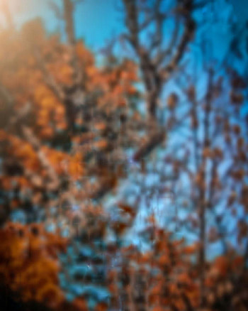 Picsart Editing - Full Blur Cb Background HD phone wallpaper