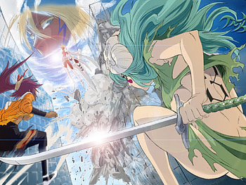 the last battle part 2, fight, girl, 3, last, bleach, battle, espada, the, youruhuchi HD wallpaper
