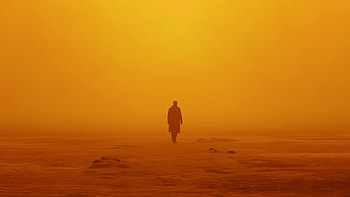 Blade Runner 2049, movie, , Futuristic setting HD wallpaper