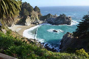 Burns State Park, California, fun, nature, forest, ocean, beach HD wallpaper