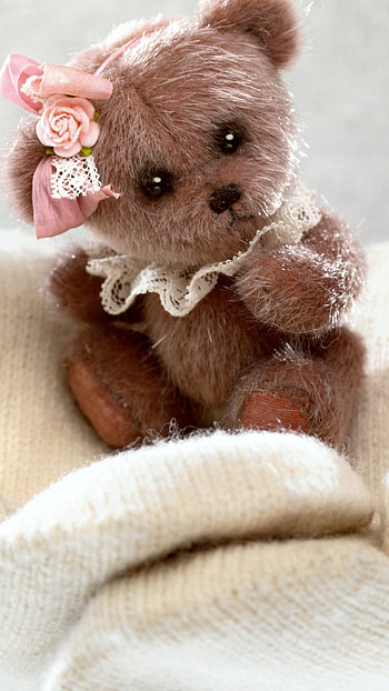 Cute Teddy Bear, Cute Little, Teddy Bear HD phone wallpaper