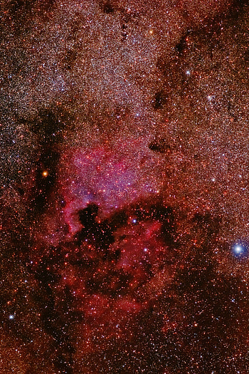 Universe, Stars, Nebula, Pleiades HD phone wallpaper