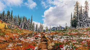 North Cascades NP, Washington, snow, trees, landscape, clouds, sky, rocks, stones, usa HD wallpaper