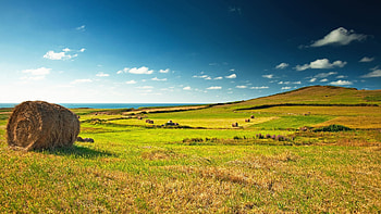 meadows , hay, Sky clouds grass, Nature 6145 HD wallpaper