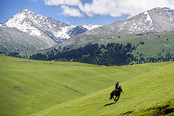 Boy rides a horse in China, Xinjiang Uighur Autonomous region, Rides, Horse, Boy, Yili, Qiong Ku Shi Tai village, June 8 2015 HD wallpaper