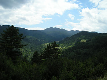 Rodopi, bulgaria, trees, , mountain HD wallpaper