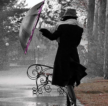 rainy walk, rain, graphy, cool, people, park HD wallpaper