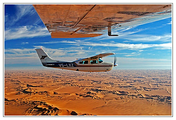 Under the Wing, cool HD wallpaper