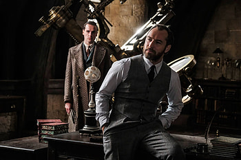 David Yates, Fantastic Beasts 2, Dumbledore's character, Den of Geek HD wallpaper