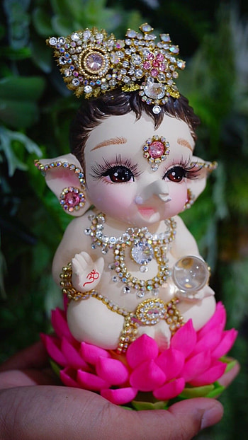 Bal Ganesh, Beautiful Lotus, Ganesh, beautiful, lotus HD phone wallpaper