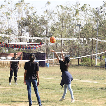 Sports Mania 2020, Throwball HD phone wallpaper