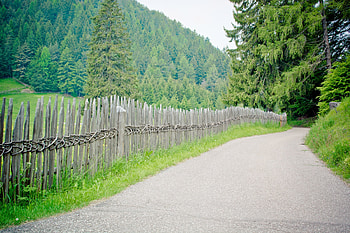 Nature, Trees, Summer, Road, Fence HD wallpaper