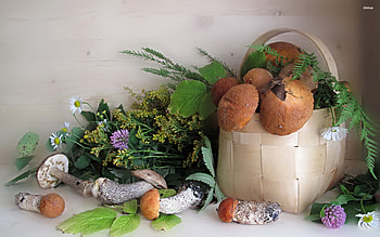 mushrooms in a basket, basket, leaf, mushrooms, flower HD wallpaper