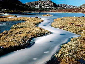 Nature, Water, Rivers, Grass, Stones, Ice, Australia HD wallpaper