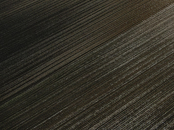 Texture, Textures, Surface, Stripes, Streaks, Tinsel, Sequins HD wallpaper