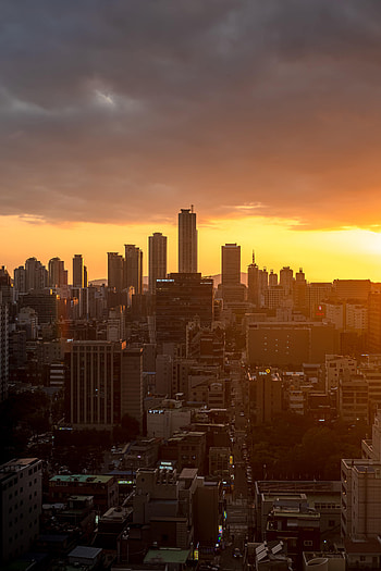 Cities, City, Building, View From Above, Seoul, South Korea HD phone wallpaper