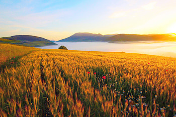 Beautiful View, blue, landscapes, Beautiful, sky, nature, flowers, mountains, sunset HD wallpaper