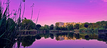 Pink Skyline Reflections: City Park graphy, city, sky, pink, graphy, park HD wallpaper