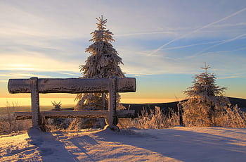 A peaceful winter scene with snow-covered trees and a bench at sunrise. HD wallpaper