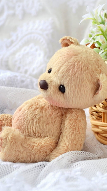 Teddy Bear Ke, Cute, Little, Teddy, bear HD phone wallpaper