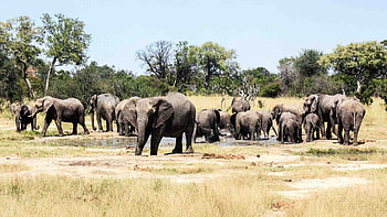 Zimbabwe tourism revival, Mugabe's legacy, African travel, Discover Zimbabwe HD wallpaper
