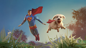 Superman (2025) HD wallpaper