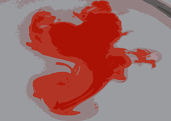 Ninja Protector, protector, heart, ninja, red HD wallpaper