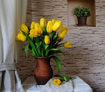 Still life, nature, flowers, tulips, yellow HD wallpaper