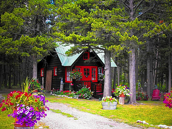 Lovely forest house, wooden, spring, nice, trees, path, house, garden, beautiful, grass, cabin, summer, rest, pretty, hut, nature, flowers, cottage, lovely, forest HD wallpaper