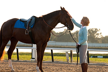 Secretariat, Horse race, Famous quotes, Movie HD wallpaper