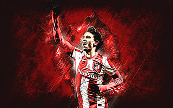 João Félix, felix, atleticomadrid, soccer, joao, joaofelix, atletico, atleti, portuguese, football, sport HD wallpaper