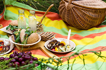 Summer picnic , John walker HD wallpaper