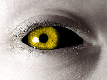 Eye HD wallpaper