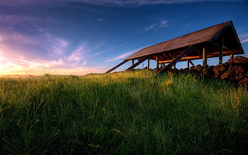 An animal feed shelter at Ambury Park Auckland New Zealand, skies, auckland, grass, ambury park, scenery, scenic, fields, new zealand, nature, the shelter HD wallpaper