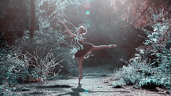 Ballerina in the forest pose, pose, the, forest, Ballerina in HD wallpaper